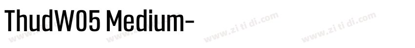ThudW05 Medium字体转换